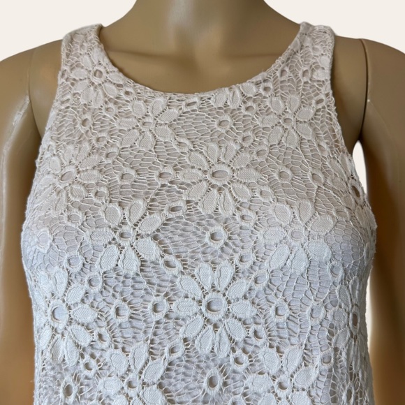 Ginger G A-Line Dress Medium M Cream Full Lace Lined Knee Length Stretch - Picture 4 of 16